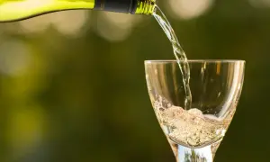Wino do drobiu i risotto? Poznaj białe odmiany, które doskonale komponują się z lekkimi daniami