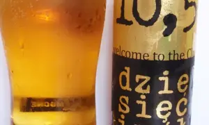 Piwo 10,5 ile ma procent alkoholu? Zaskakujące fakty o ekstrakcie