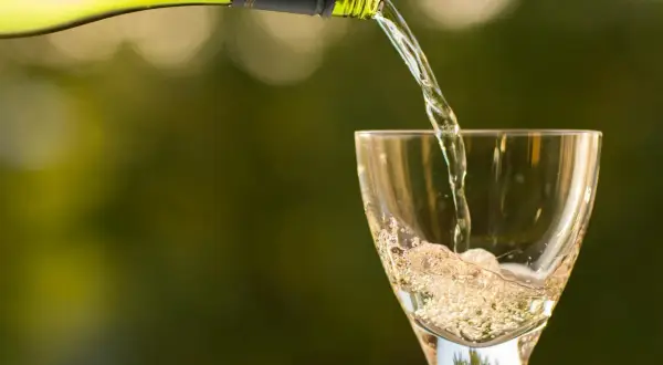 Wino do drobiu i risotto? Poznaj białe odmiany, które doskonale komponują się z lekkimi daniami