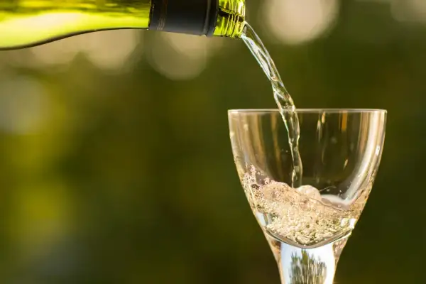 Wino do drobiu i risotto? Poznaj białe odmiany, które doskonale komponują się z lekkimi daniami